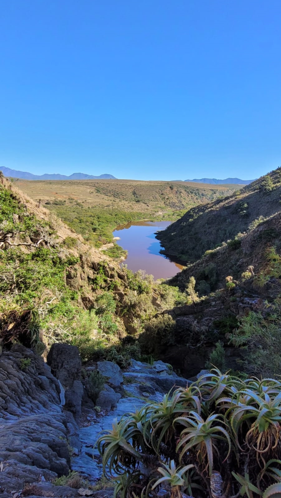Commercial Property for Sale in Gouritsmond Rural Western Cape
